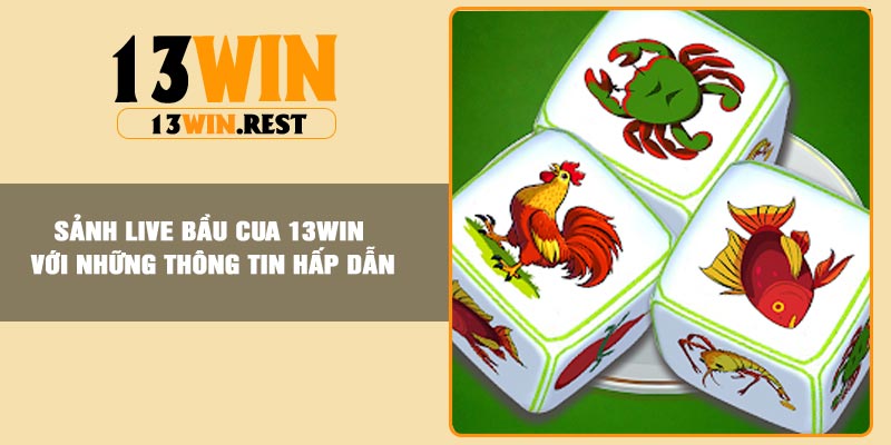 Sảnh live bầu cua 13Win với những thông tin hấp dẫn
